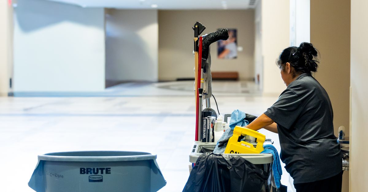 Comparing DIY Kitchen Deep Cleaning to Professional Services